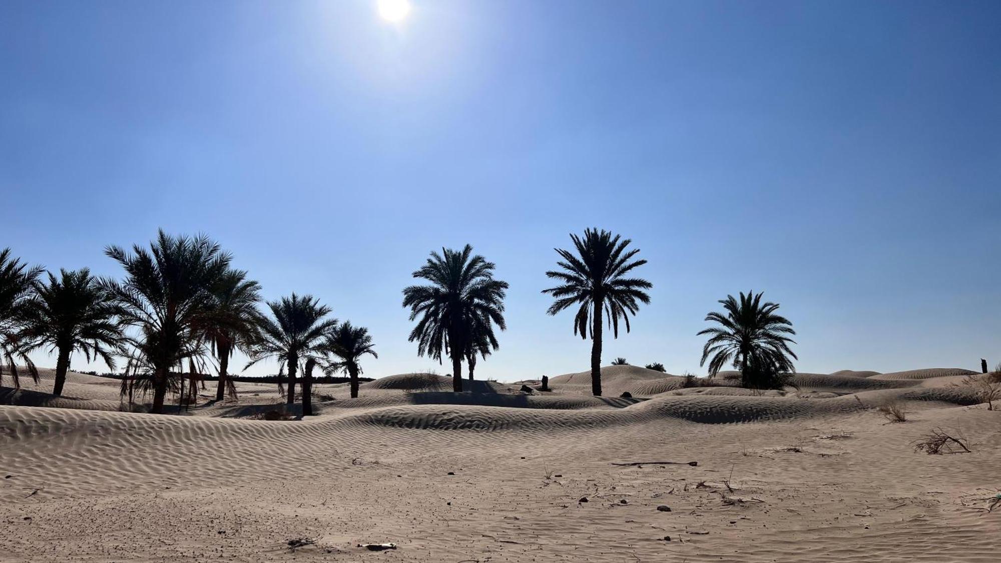 Luxury Camp Dunes Insolites Sabria Bagian luar foto