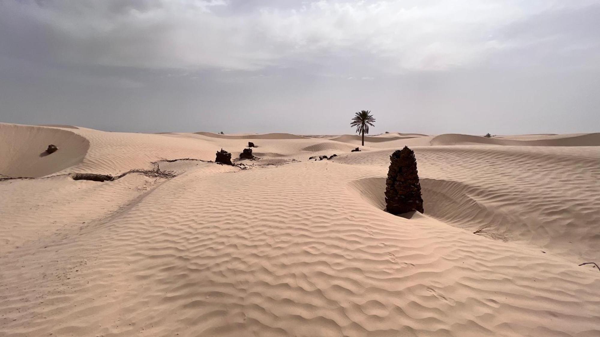 Luxury Camp Dunes Insolites Sabria Bagian luar foto