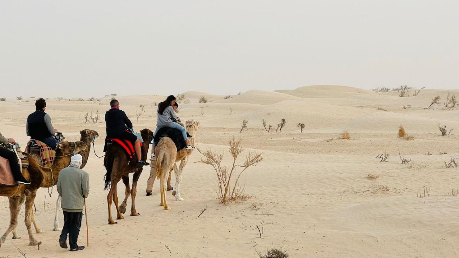 Luxury Camp Dunes Insolites Sabria Bagian luar foto