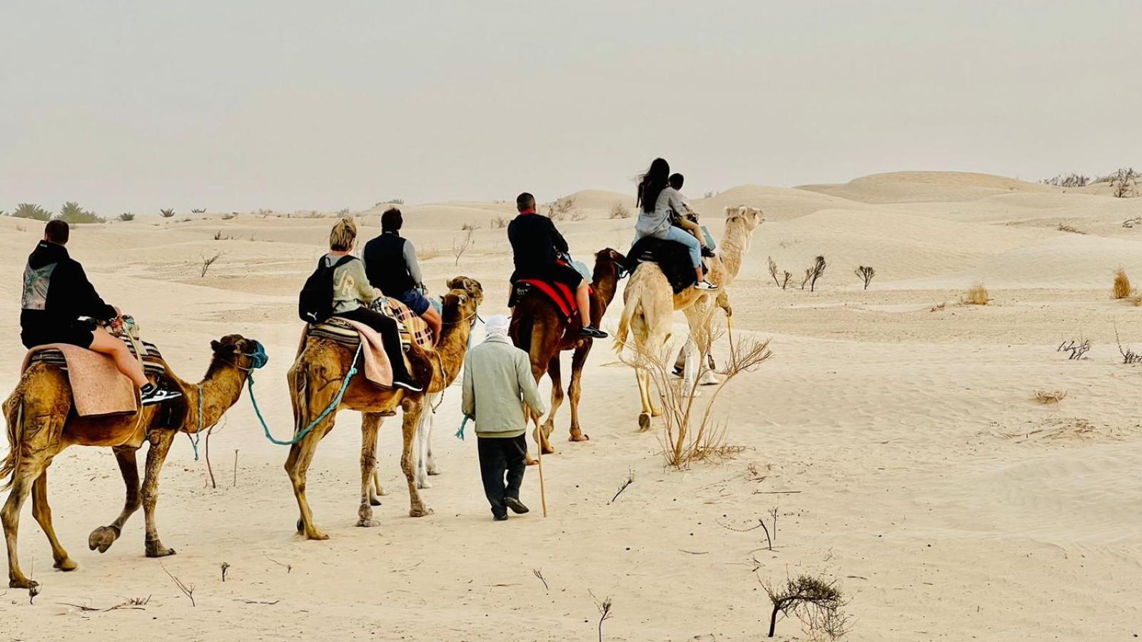 Luxury Camp Dunes Insolites Sabria Bagian luar foto